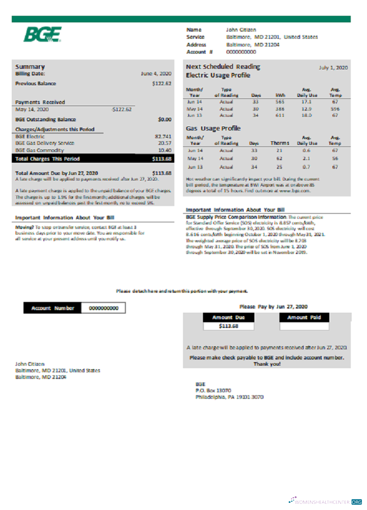 download download USA BGE gas and electric utility bill